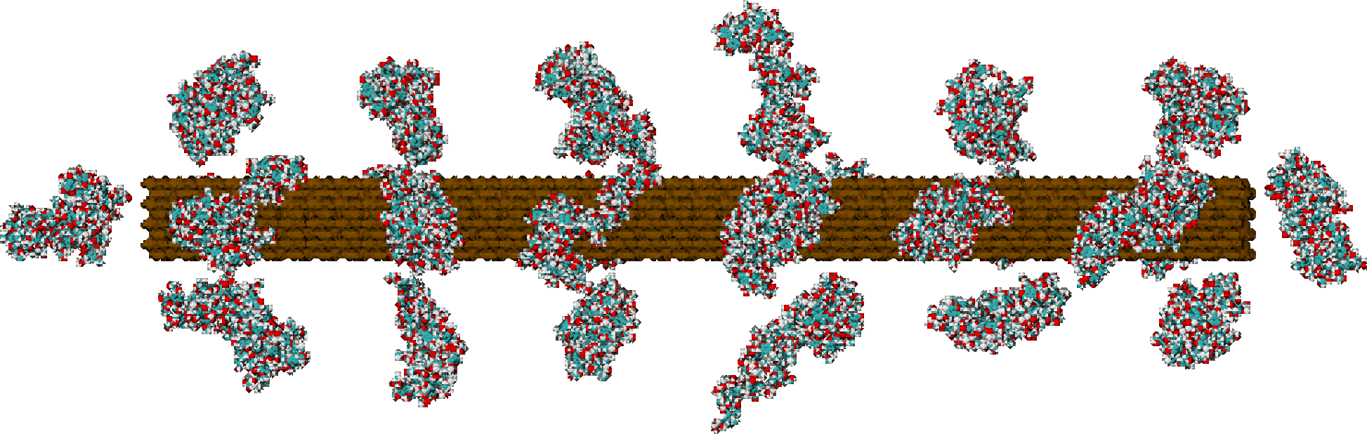 Atomic-detailed model of lignocellulose of softwoods. Based on experimental data on the structure of cellulose (brown) and lignin (cyan and red).