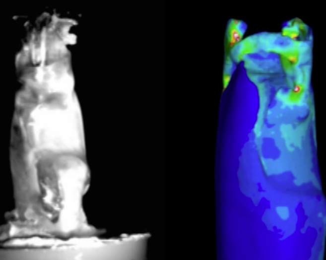 University of Massachusetts Amherst researchers are using X-ray scans and computational models to learn the secrets of mantis shrimp, crustaceans who fire their appendages with amazing speed and force to ward off enemies and capture prey. On the left is a freeze frame from a high-speed video of an experiment in which a materials-testing machine compresses a mantis shrimp appendage to mimic the way the crustacean would prepare to strike. On the right is a finite element computer model of the appendage under similar loading conditions. Blue, or cold, regions represent areas with low calculated strain energy density. Red, or hot, regions have high calculated strain energy density. The comparisons show the model’s predicted behavior resembles the appendage’s physical behavior. (Images: Michael Rosario, University of Massachusetts Amherst. A video, "An inside look at the mantis shrimp's punching mechanism," is available in the Related Links box at right.)